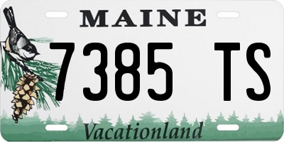 ME license plate 7385TS