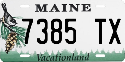 ME license plate 7385TX