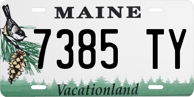 ME license plate 7385TY