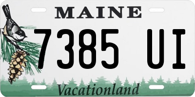 ME license plate 7385UI