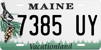 ME license plate 7385UY