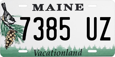 ME license plate 7385UZ