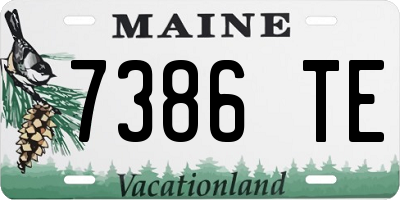 ME license plate 7386TE