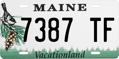 ME license plate 7387TF