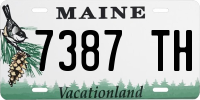 ME license plate 7387TH
