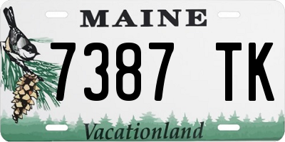 ME license plate 7387TK