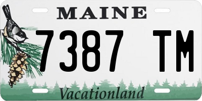 ME license plate 7387TM