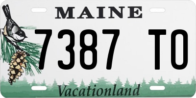 ME license plate 7387TO