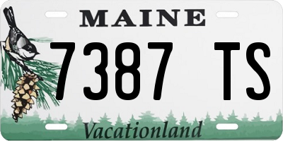 ME license plate 7387TS