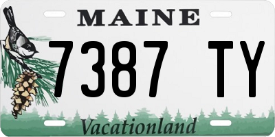 ME license plate 7387TY