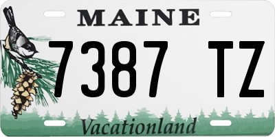 ME license plate 7387TZ