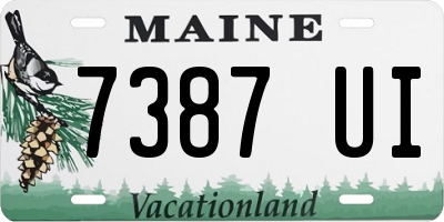 ME license plate 7387UI