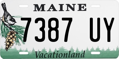 ME license plate 7387UY