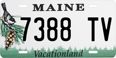 ME license plate 7388TV