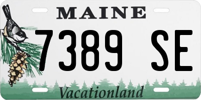 ME license plate 7389SE