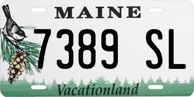ME license plate 7389SL