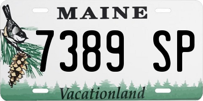 ME license plate 7389SP