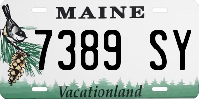 ME license plate 7389SY