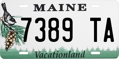 ME license plate 7389TA