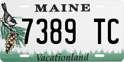 ME license plate 7389TC