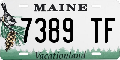 ME license plate 7389TF