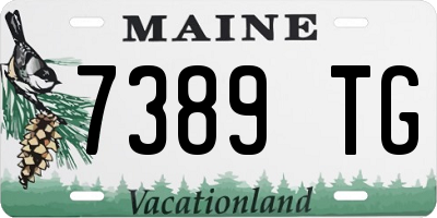 ME license plate 7389TG