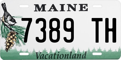 ME license plate 7389TH