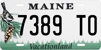 ME license plate 7389TO