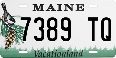 ME license plate 7389TQ