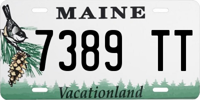 ME license plate 7389TT