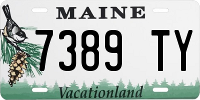 ME license plate 7389TY