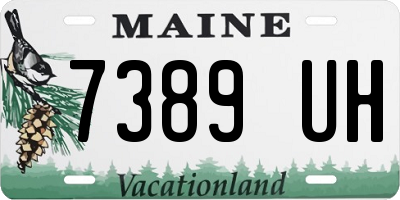 ME license plate 7389UH