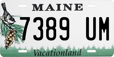 ME license plate 7389UM