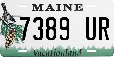 ME license plate 7389UR