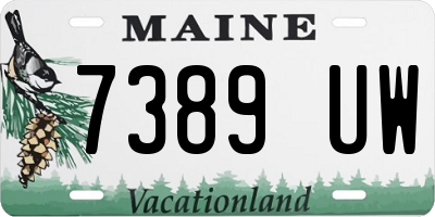 ME license plate 7389UW