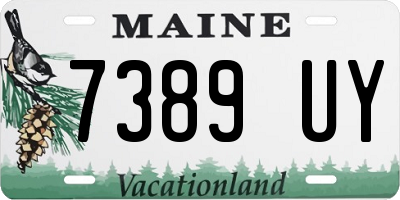 ME license plate 7389UY