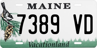 ME license plate 7389VD