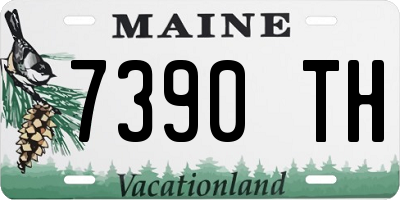 ME license plate 7390TH