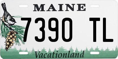 ME license plate 7390TL