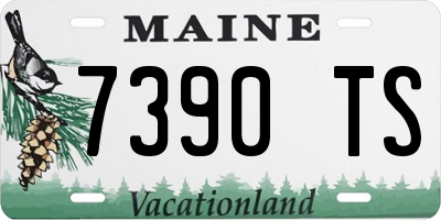 ME license plate 7390TS