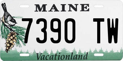 ME license plate 7390TW