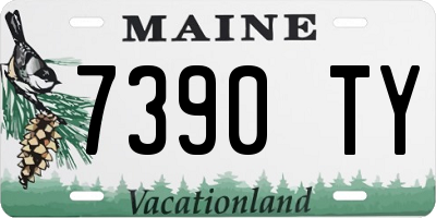 ME license plate 7390TY