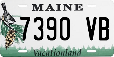 ME license plate 7390VB