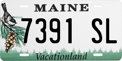 ME license plate 7391SL