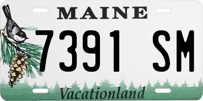 ME license plate 7391SM