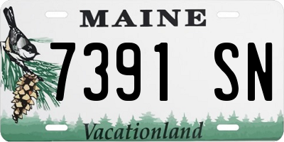 ME license plate 7391SN