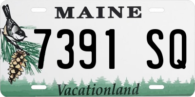 ME license plate 7391SQ