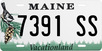 ME license plate 7391SS