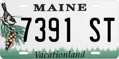ME license plate 7391ST