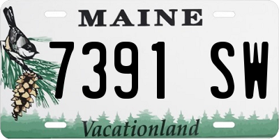 ME license plate 7391SW